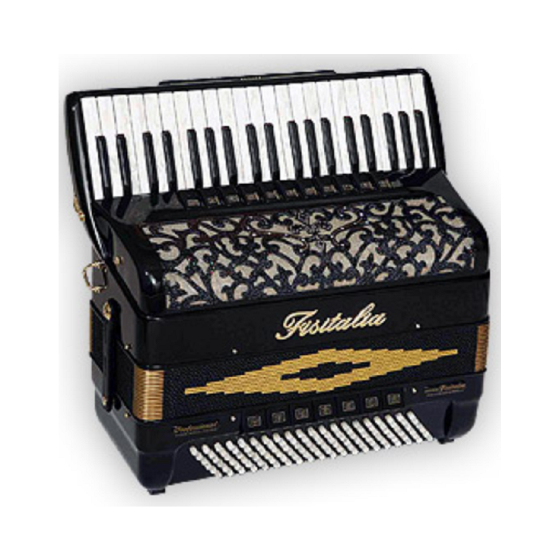 Fisitalia LITTLESTAR Black w/ Binci Reeds  Gold Acessories  Gold Horse Inside Bellows  M4 Mics  2xChin Registers with Case