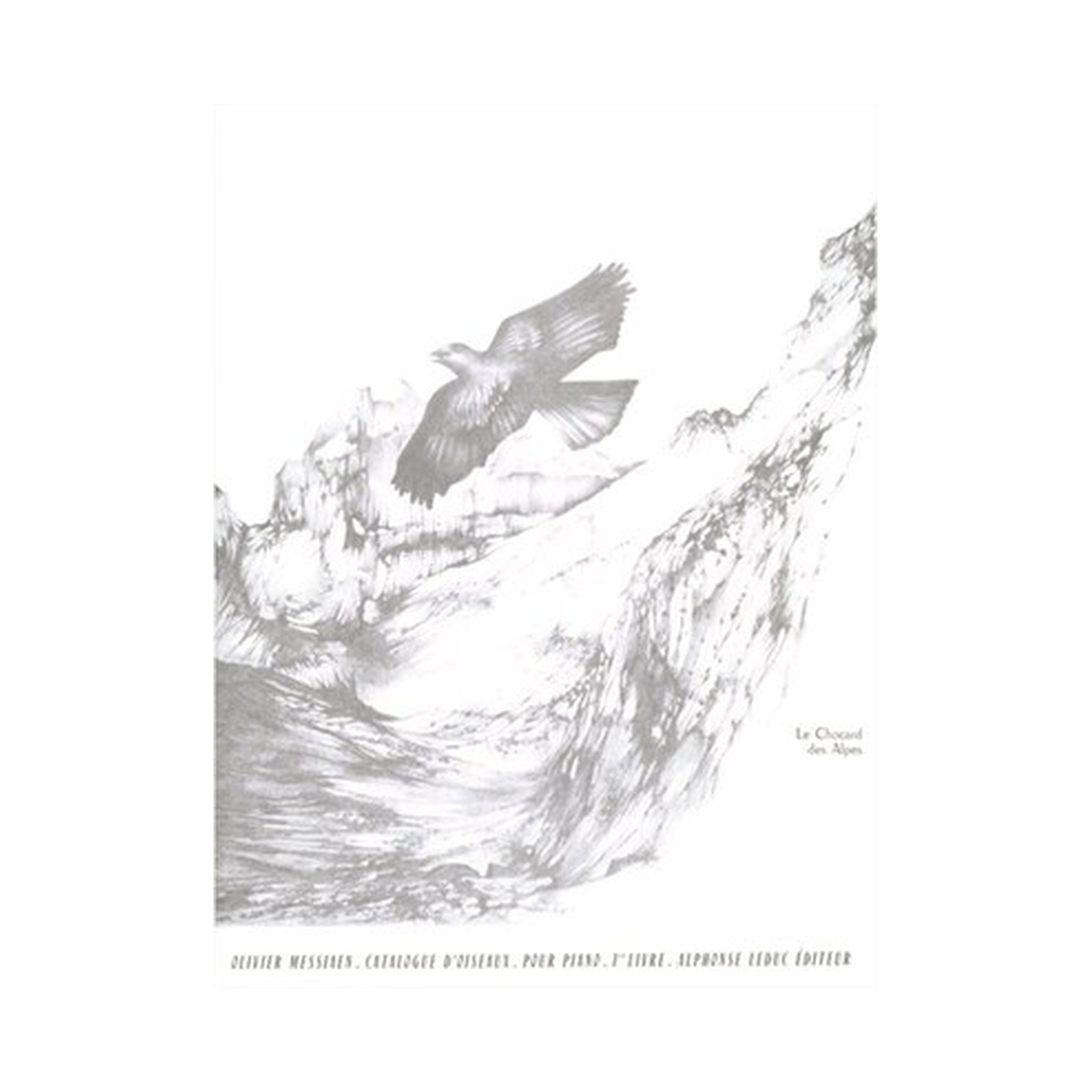 Catalogue D'Oiseaux Vol. 1