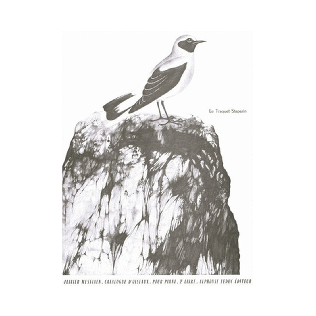 Catalogue D'Oiseaux Vol. 2