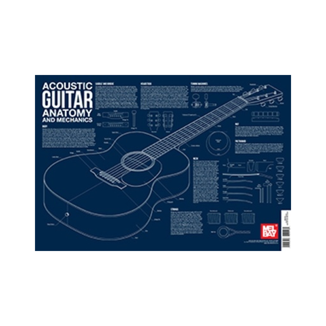 Acoustic Guitar Anatomy Wall Chart