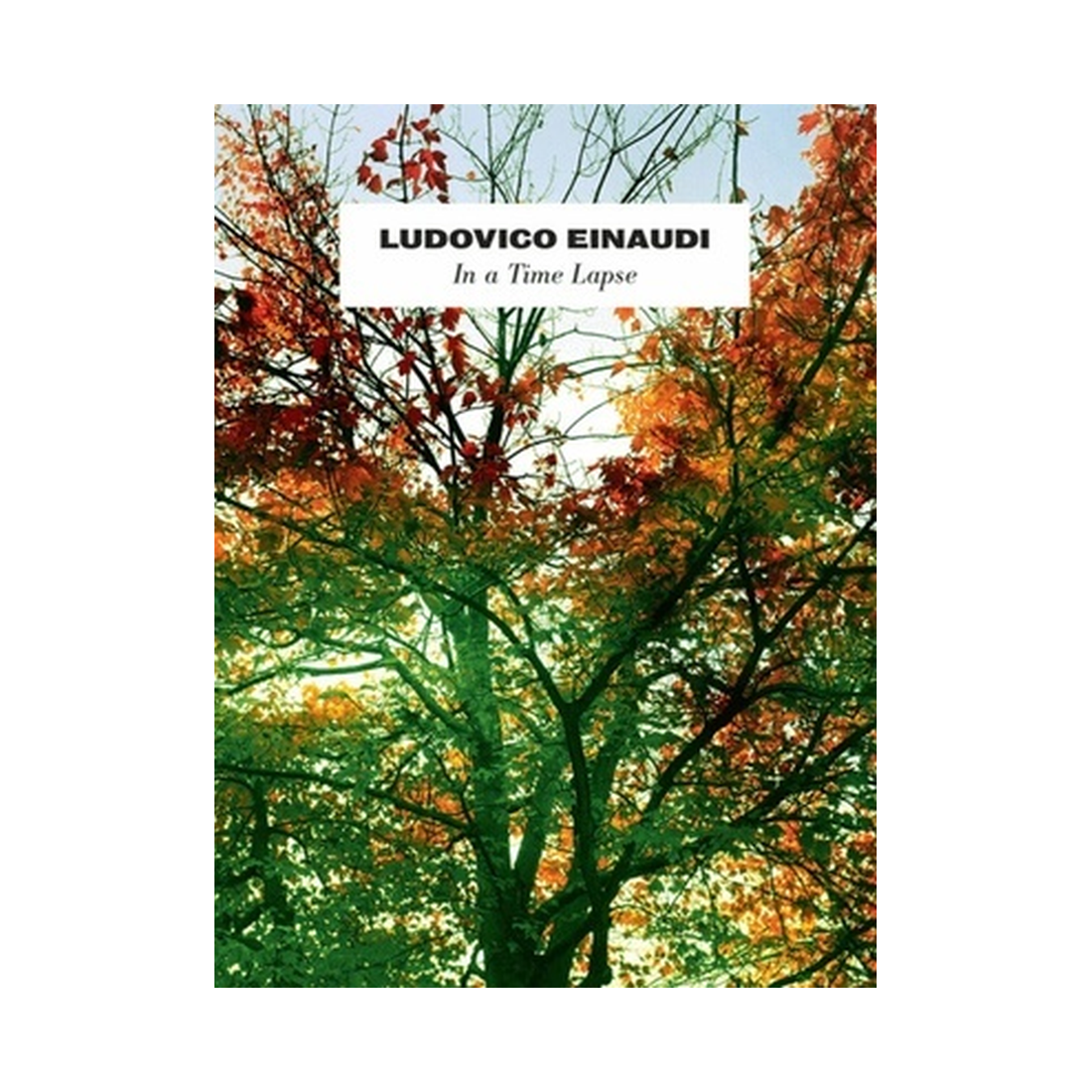 Ludovico Einaudi - In a Time Lapse
