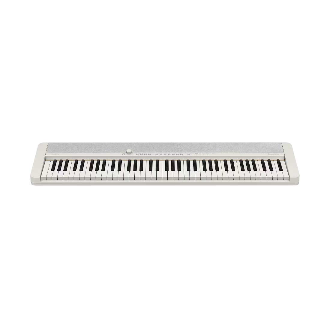 Casio CTS1-76WE