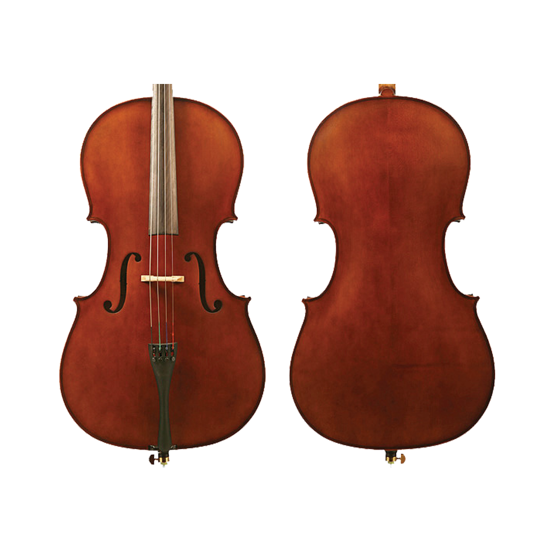 Enrico 3/4 Student Plus II Cello Outfit