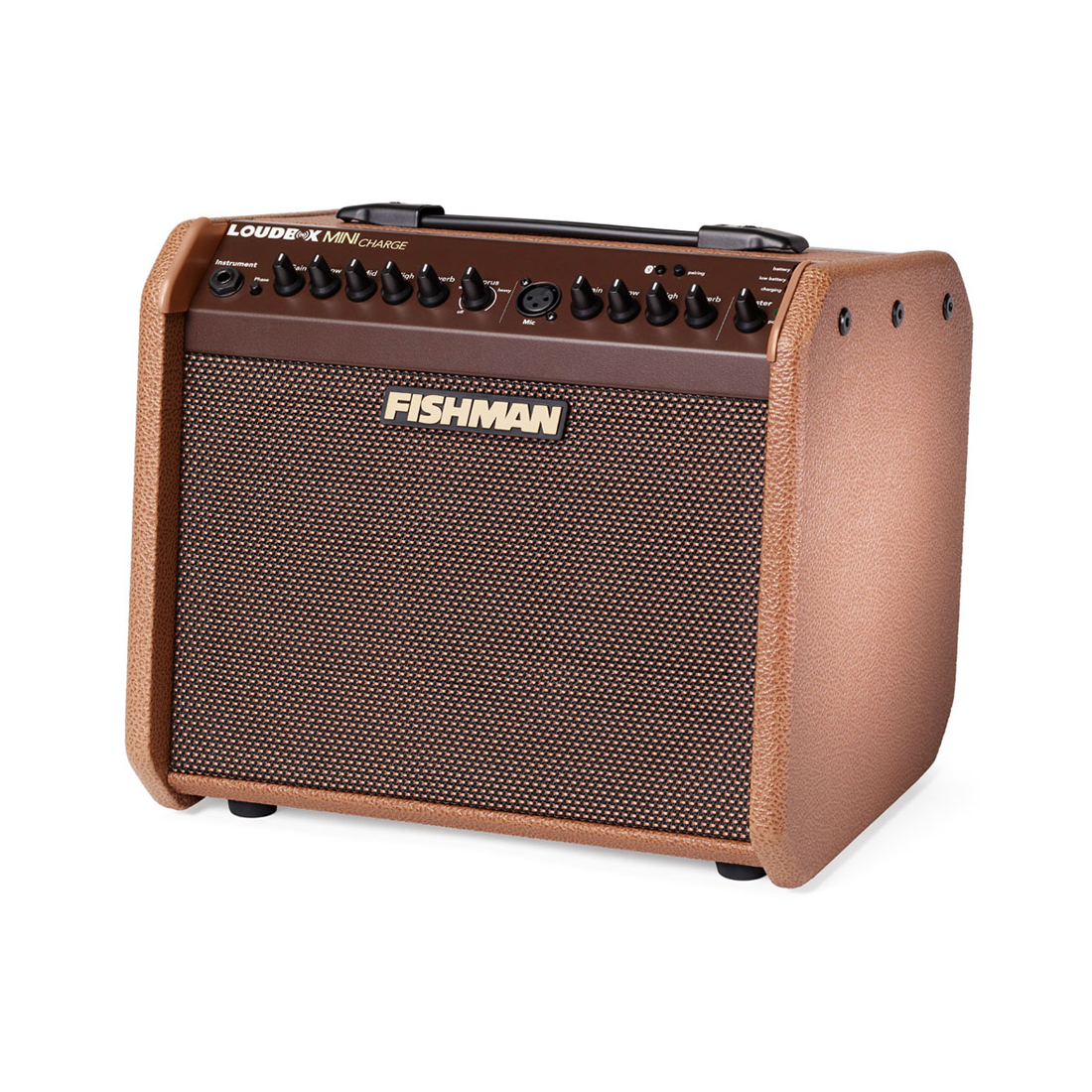 Fishman Loudbox Mini Carica con Bluetooth