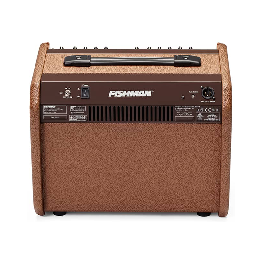 Fishman Loudbox Mini Carica con Bluetooth