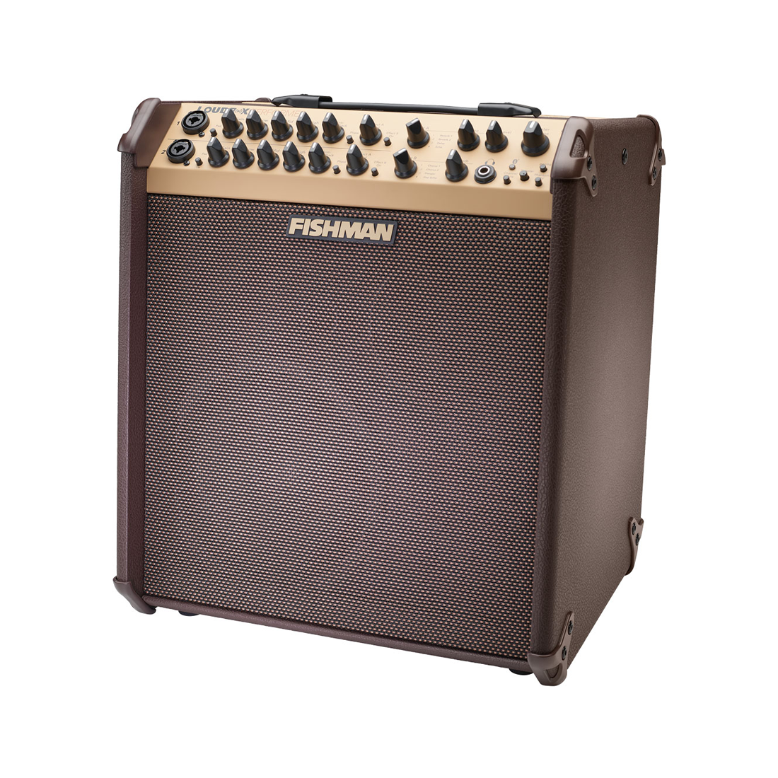Fishman Loudbox Performer con Bluetooth
