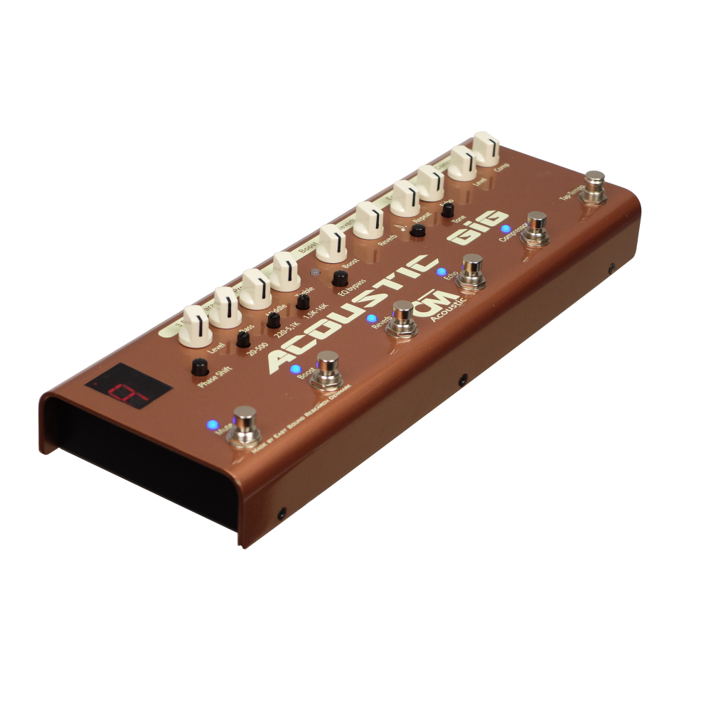 Carl Martin Acoustic GiG Multi-Effects Guitar Pedal