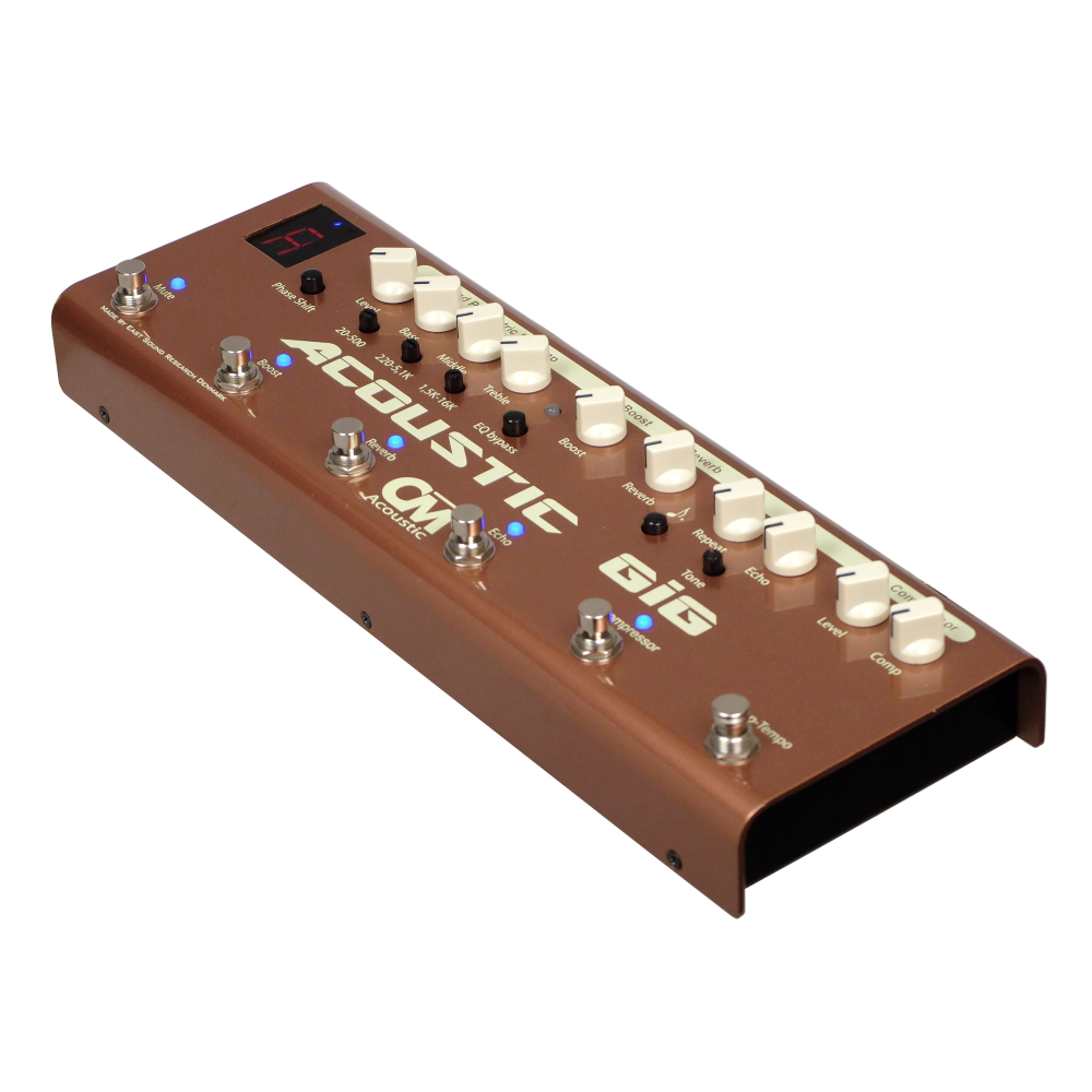 Carl Martin Acoustic GiG Multi-Effects Guitar Pedal