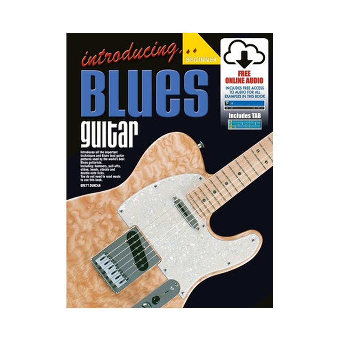 Introducing Blues Guitar