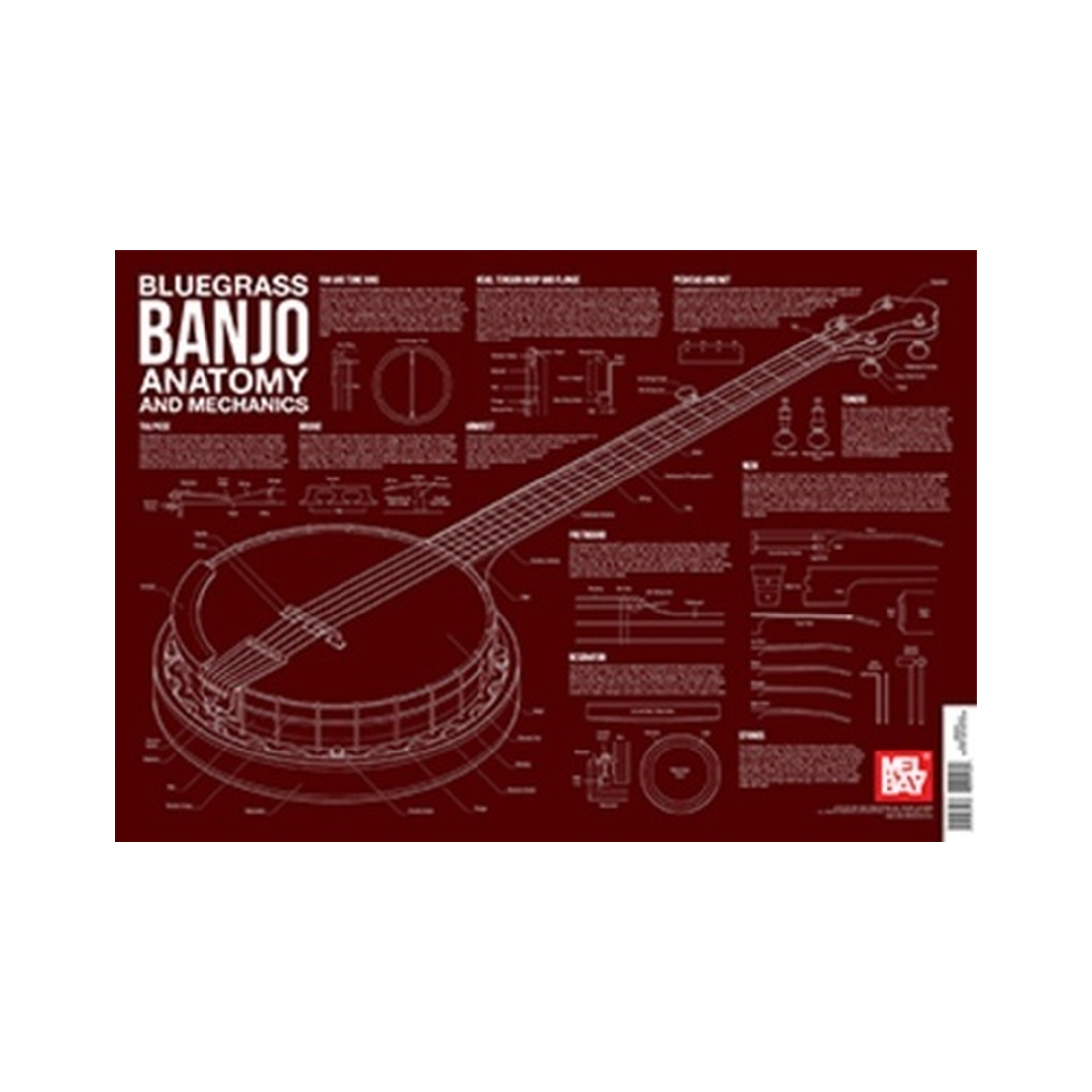 Bluegrass Banjo Anatomy Wall Chart
