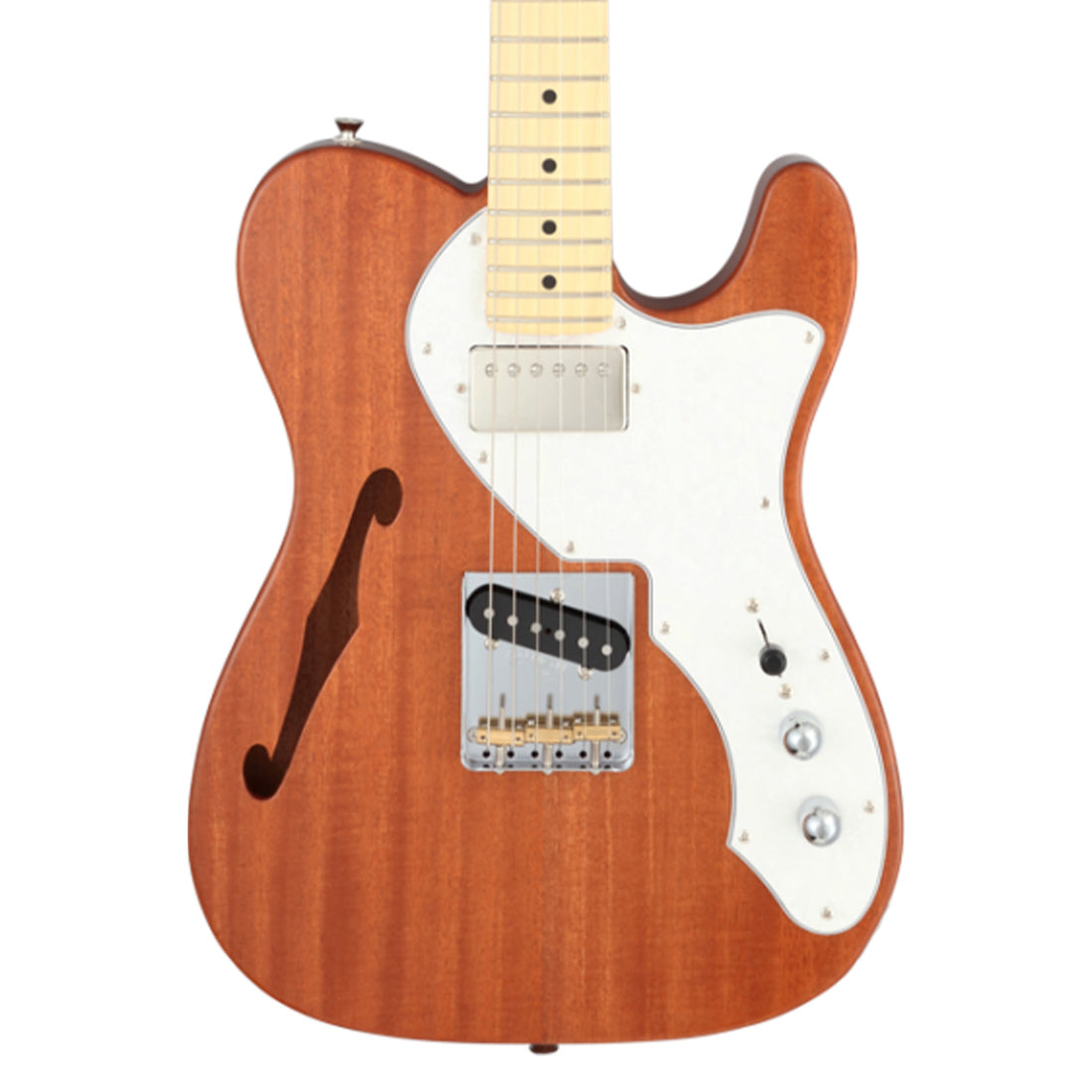 FGN NTE110MMHT/NT Neo Classic TE Semi-Hollow Natural Electric Guitar Including Gig Bag