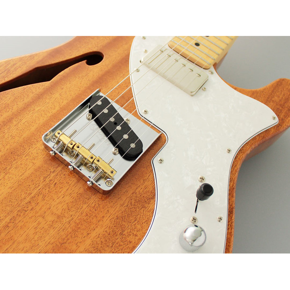 FGN NTE110MMHT/NT Neo Classic TE Semi-Hollow Natural Electric Guitar Including Gig Bag