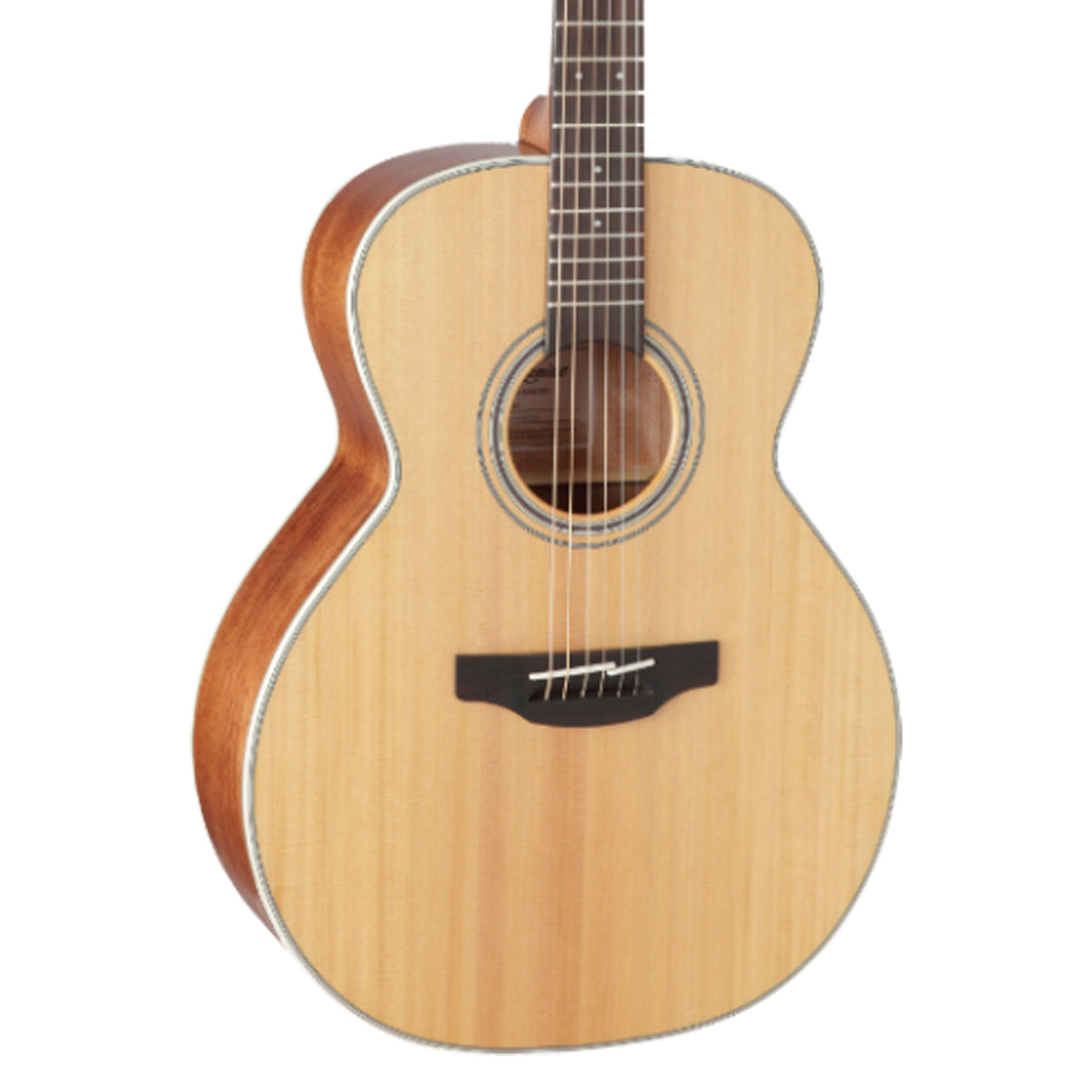 Takamine G20 Series NEX Acoustic Guitar in Natural Satin Finish