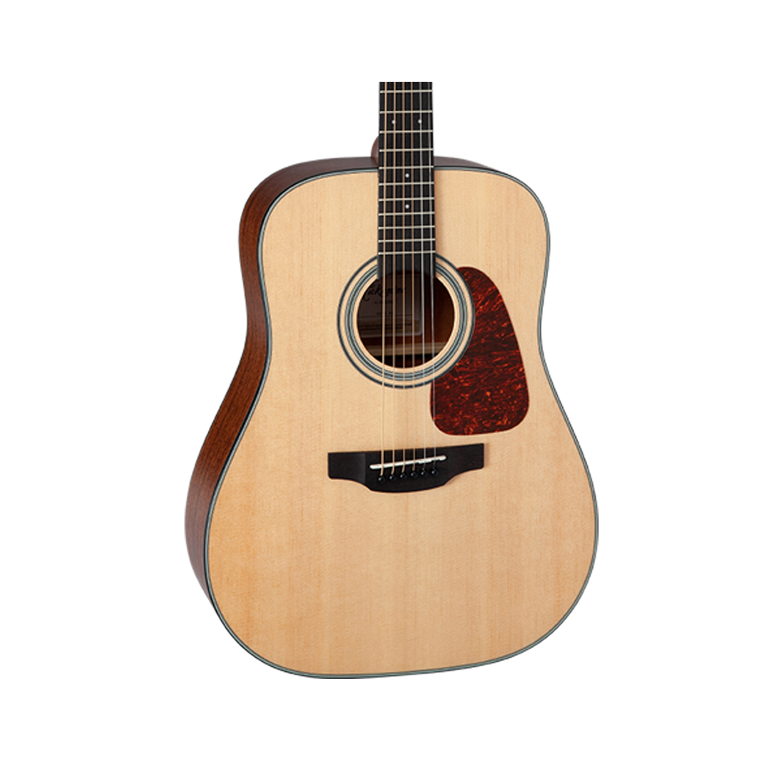 Takamine G10 Series Dreadnought Acoustic Guitar in Natural Satin Finish