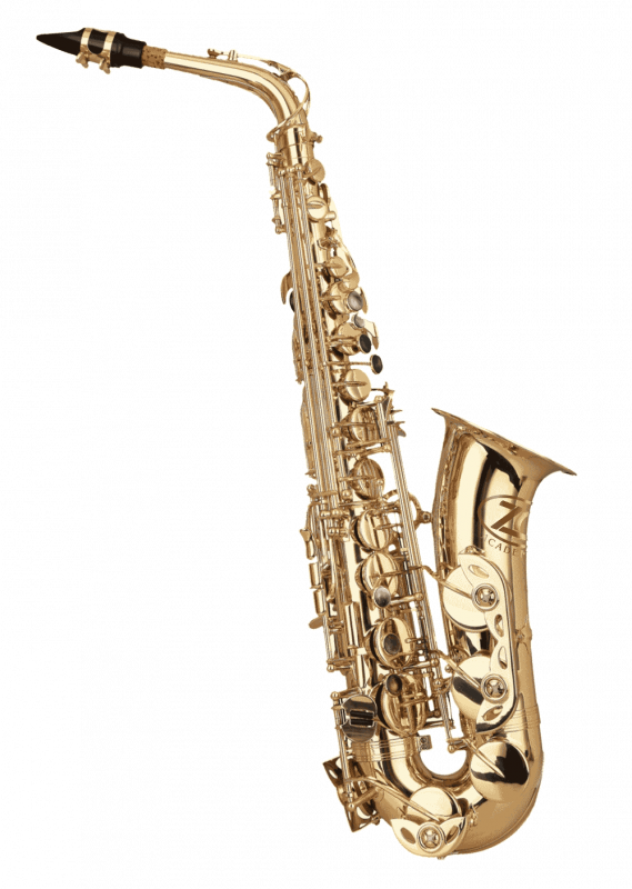 ZO Academy Eb Alto Saxophone Lacquer
