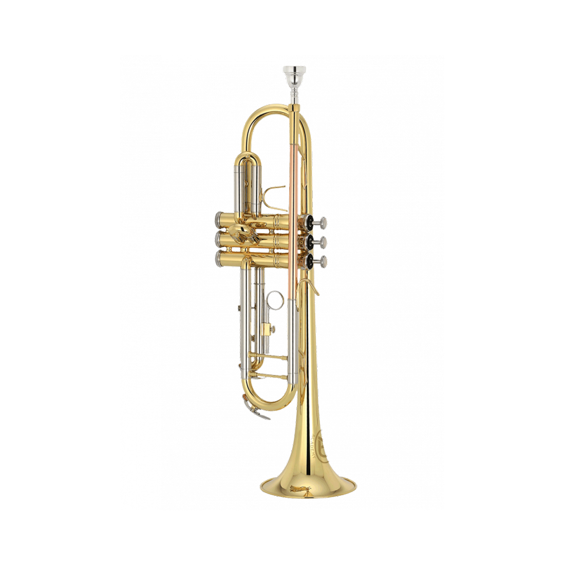 ZO Academy Bb Student Trumpet Lacquer