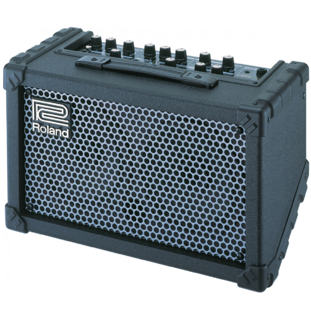 Roland Battery Powered Stereo Amplifier
