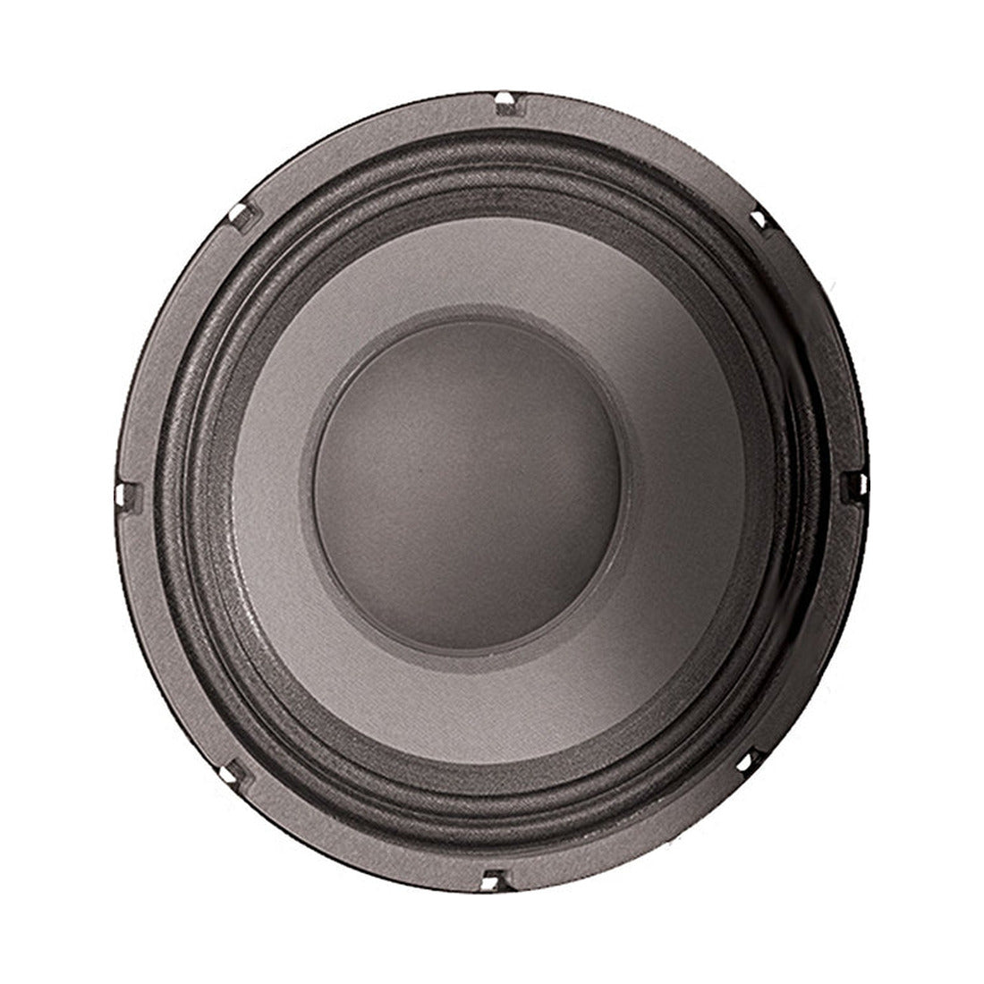 Eminence Delta 10B 10in 16 ohm PA speaker, front view