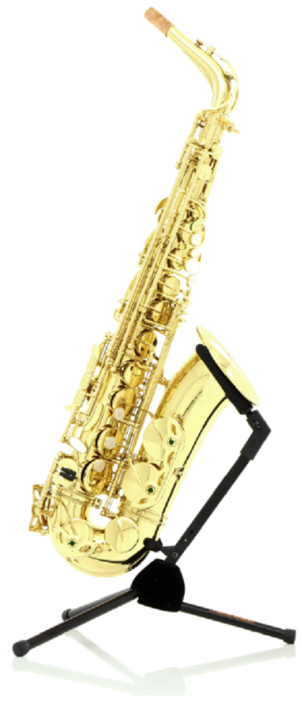 Schagerl SLA-1L Superior Alto Saxophone with Mouthpiece and Deluxe Trekking Case - Lacquered Finish