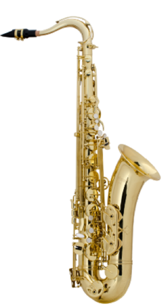 Selmer SETS44 USA Professional	Tenor Saxophone and French BAM Case