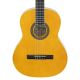 Aria Fiesta 1/2 Size Classical Nylon String Guitar Pack in Natural Includes Gig Bag Tuner and Instructional DVD