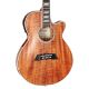 Takamine Thinline Series Acoustic Electric Guitar with Cutaway in Natural Gloss Finish