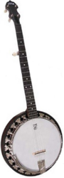 Banjo Vega Bluegrass Wonder W/case